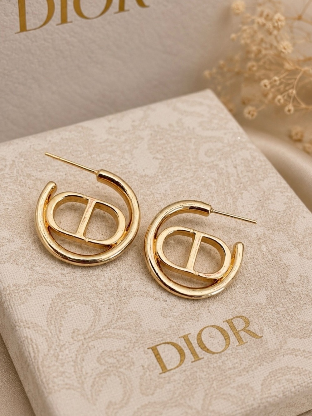 Fashion Jewelry Gold Hoop Earrings with CD Motif